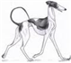 The Whippets